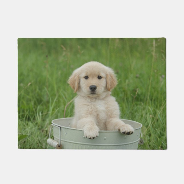 Golden Retriever In Wash Basin Doormat (Front)