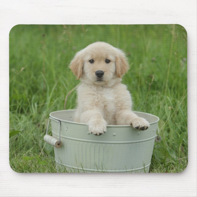 Golden Retriever In Wash Basin Mouse Pad (Front)