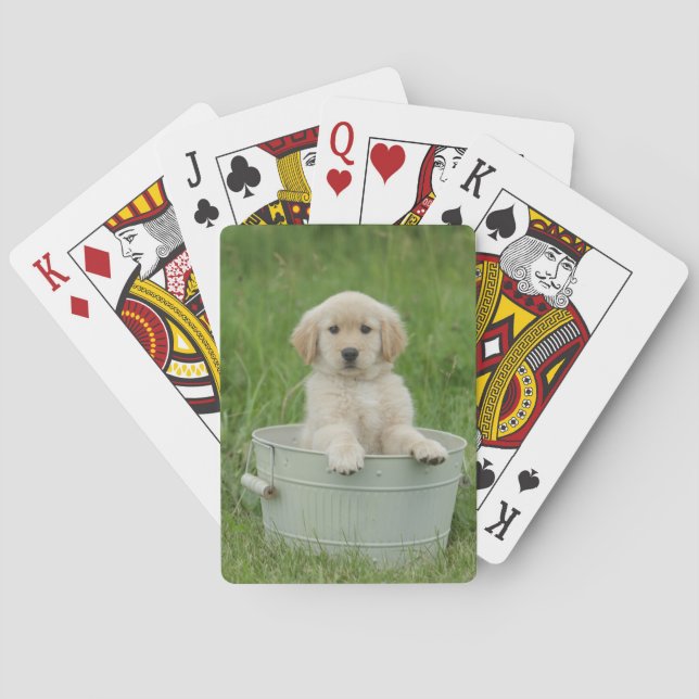 Golden Retriever In Wash Basin Playing Cards (Back)
