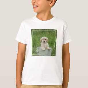 Golden Retriever In Wash Basin T-Shirt