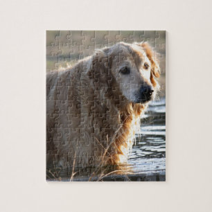 Golden Retriever in Water Jigsaw Puzzle