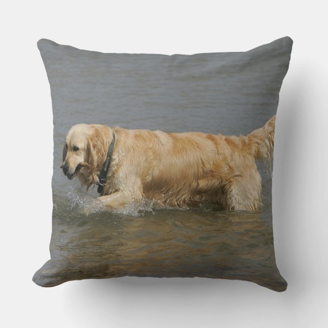 Golden Retriever in Water Throw Pillow (Front)
