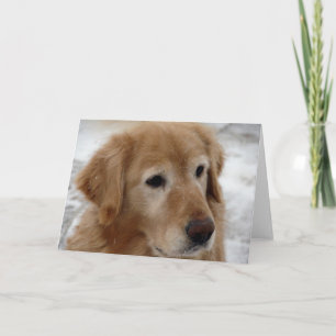 Golden Retriever in Winter All Occasions Card