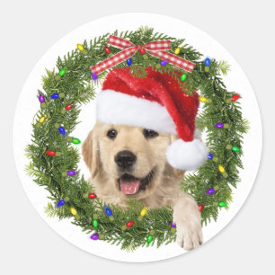 Golden Retriever in wreath with Christmas hat Classic Round Sticker