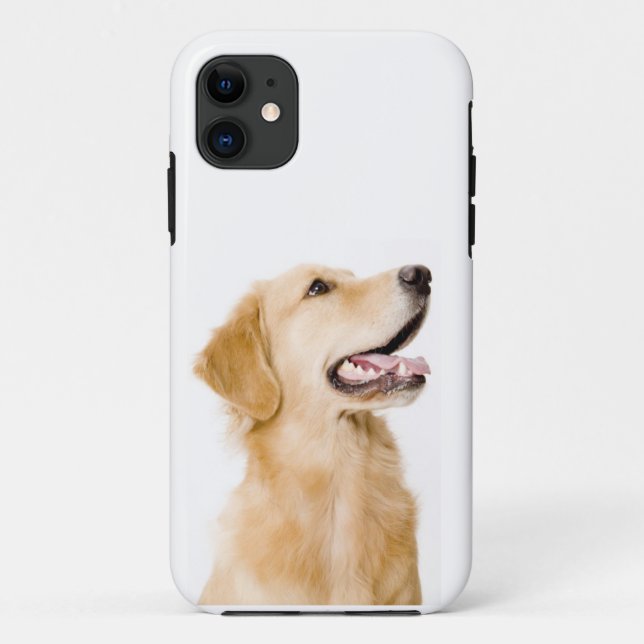 Golden Retriever iPhone Case (Back)