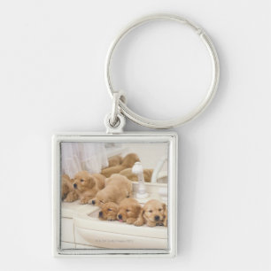Golden Retriever; is a relatively modern and 2 Keychain