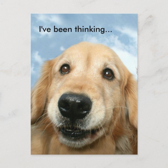Golden Retriever I've Been Thinking Postcard (Front)