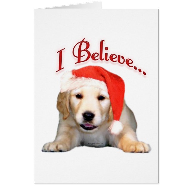 Golden Retriever Je crois (Devant)