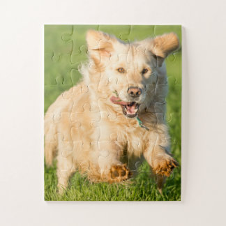 Golden Retriever Jigsaw Puzzle