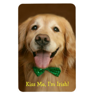 Golden Retriever Kiss Me Im Irish St. Patty's Magnet