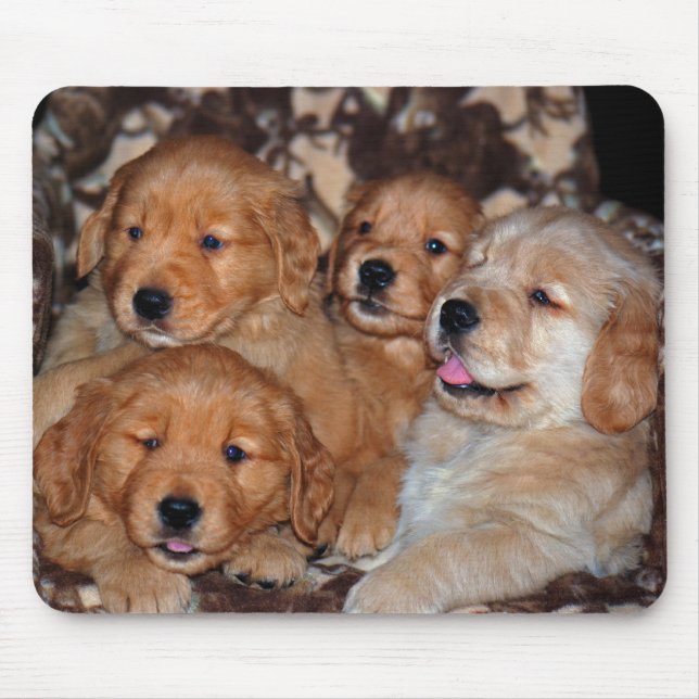 Golden Retriever Litter Mouse Pad (Front)