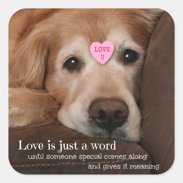 Golden Retriever Love Is Just a Word Square Sticker (Front)