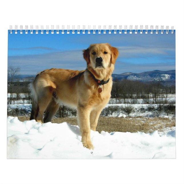 Golden Retriever Lovers Calendar (Cover)