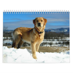 Golden Retriever Lovers Calendar