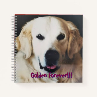 Golden Retriever Lovers Notebook