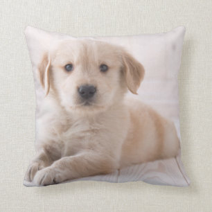 Golden Retriever Lying Down Throw Pillow