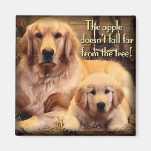 Golden Retriever Magnet