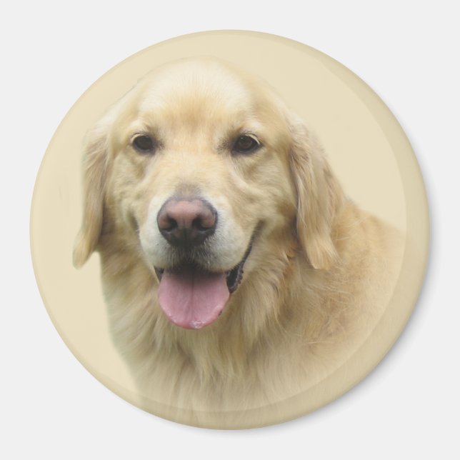 Golden Retriever Magnet (Front)