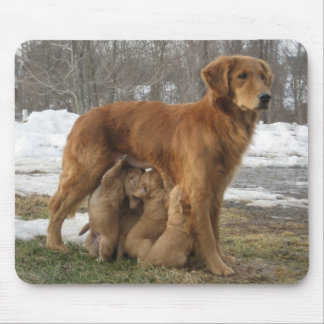 Golden Retriever Maia and Pups Mousepad