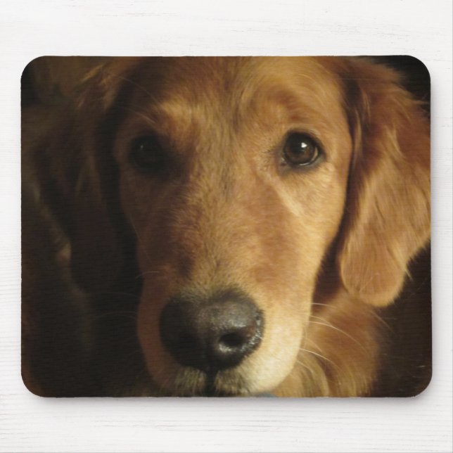 Golden Retriever Maia Up Close Mousepad (Front)