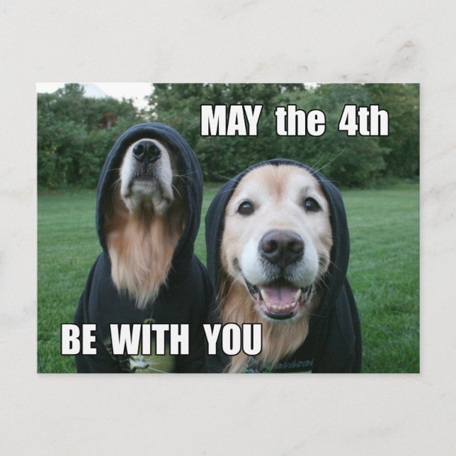 Golden Retriever May the 4th Be With You Parody Postcard (Front)