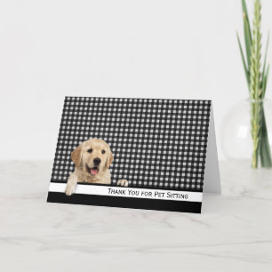 Golden Retriever Merci for Pet Sitting