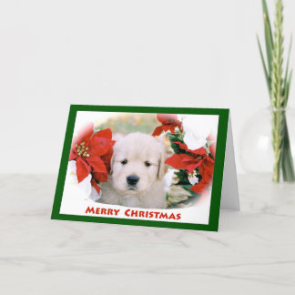 Golden Retriever Merry Christmas Greeting Card