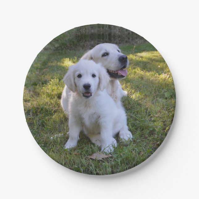 Golden Retriever Mom and Puppy Paper Plate (Front)