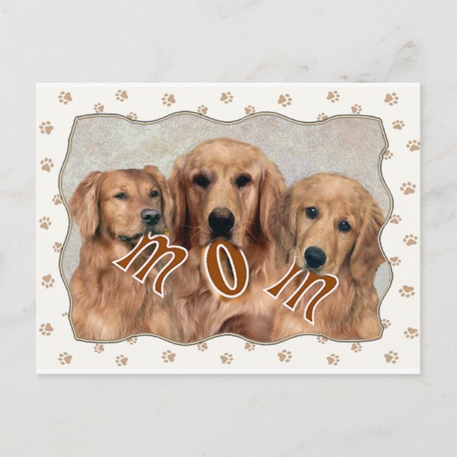 Golden Retriever MOM Gifts Postcard (Front)