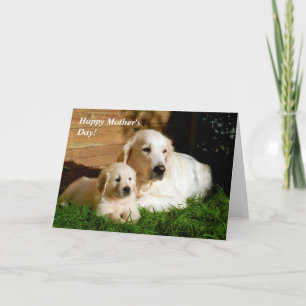 Golden Retriever Mother's Day Mom and Puppy Card