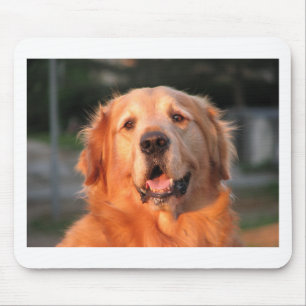 Golden Retriever Mouse Pad
