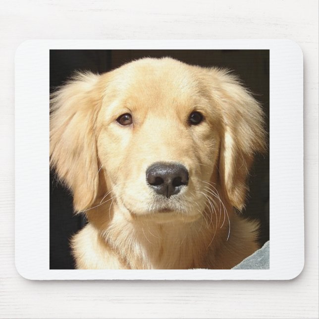 Golden Retriever Mouse Pad (Front)