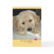 Golden Retriever New Puppy Greeting Card