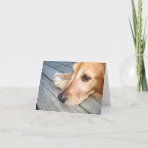 Golden Retriever Note Card
