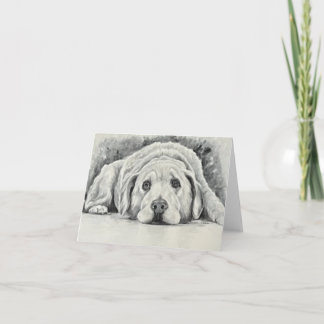 Golden Retriever Note Cards
