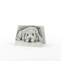 Golden Retriever Note Cards