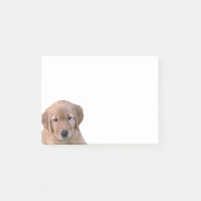 Golden Retriever Note Pad (Front)