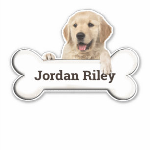 golden retriever on dog bone