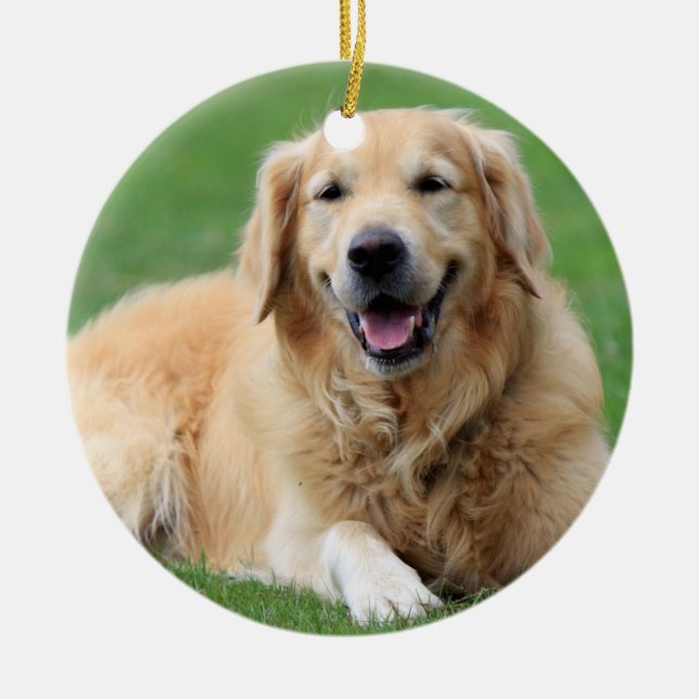 Golden Retriever Ornement de Noël Circle personnal (Devant)