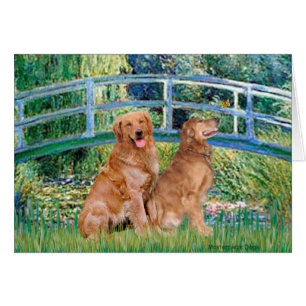 Golden Retriever Pair 1 - Lily Bridge