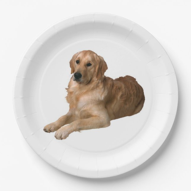Golden Retriever Paper Plate (Front)