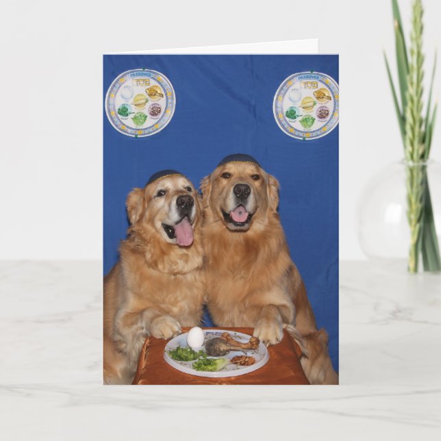 Golden Retriever Passover Seder Plate Card (Front)