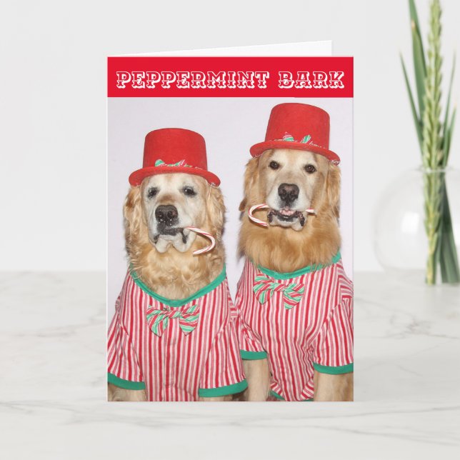 Golden Retriever Peppermint Bark Card (Front)