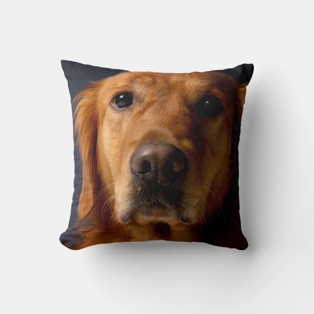 Golden Retriever Pet Dog Throw Pillow Home Decor (Front)