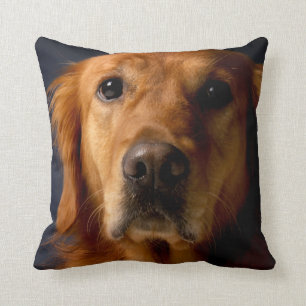Golden Retriever Pet Dog Throw Pillow Home Decor