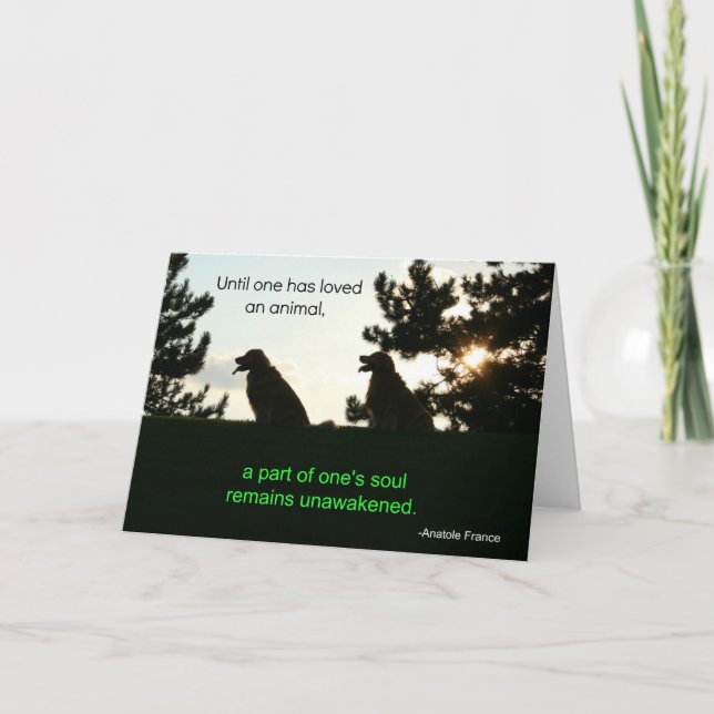 Golden Retriever Pet Sympathy Card (Front)