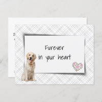 Golden Retriever Pet Sympathy Loss