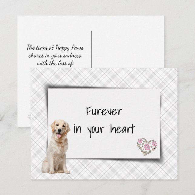 Golden Retriever Pet Sympathy Loss Postcard (Front/Back)