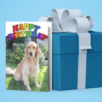 Golden Retriever Photo Beautiful Rainbow Birthday