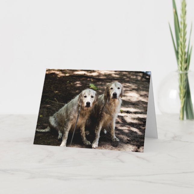 Golden Retriever Photo Card (Front)